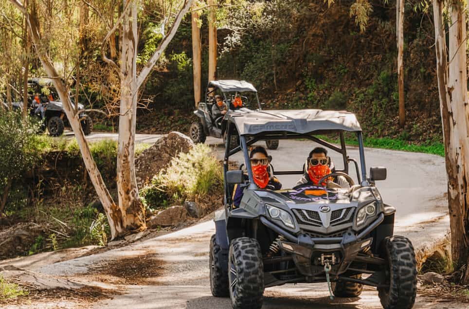 buggy cumpleaños malaga