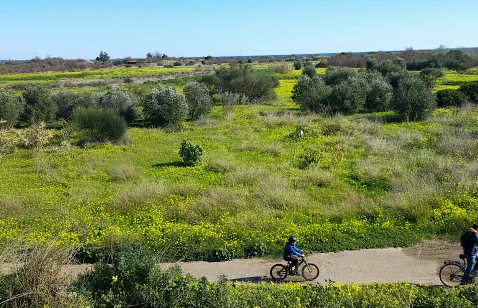 ruta en bici guadalhorce